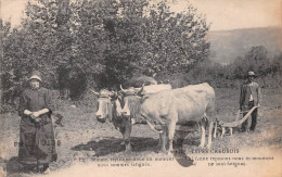 Types CREUSOIS (Creuse) N'1712 - Attelage De Boeufs Tirant La Charrue - Agriculture - Voyagé 1920 (voir Les 2 Scans) - Aubusson