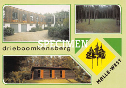 Drieboomkensberg Malle - West - Malle