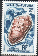 WALLIS AND FUTUNA ISLANDS 1962 1963 SEA SHELLS CYPRAECASSIS RUFA  2fr MNH - Ungebraucht