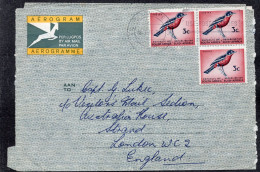 South Africa 1974 - Aerogram - Birds - Cover - Briefe U. Dokumente