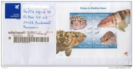 PORTUGAL 2016: MEDITERANEAN FISH On Circulated Cover - Registered Shipping! - Oblitérés