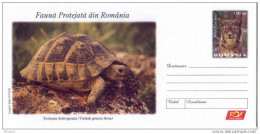ROMANIA 032/2009: LYNX & TORTUE Unused Postal Stationery Cover - Registered Shipping! - Postal Stationery