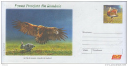ROMANIA 035/2009: BIRD OF PREY HUNTING Unused Postal Stationery Cover - Registered Shipping! - Postal Stationery