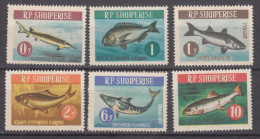 Albania 1964 Animals Fish Mi#809-814 Mint Never Hinged - Albanie