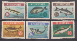 Albania 1964 Animals Fish Mi#809-814 Mint Never Hinged - Albanien