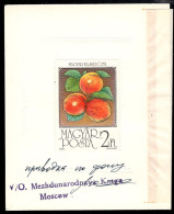 HUNGARY(1986) Apricots. Special Perforated Proof Mounted On Card With Official Stamp And Signature. Scott No 3007 - Proeven & Herdrukken