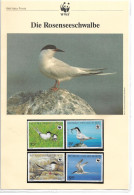 1118c: Benin 1989, WWF- Ausgabe Rosenseeschwalbe, Serie **/ FDC/ Maximumkarten - Zwaluwen