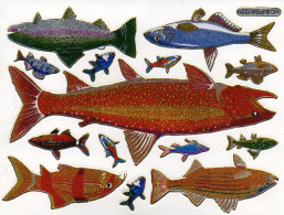 Forelle Fische Fisch Aufkleber Metallic Look / Fish Tank Sticker 13x10 Cm ST486 - Scrapbooking