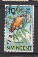 St. Vincent, Oiseau, Bird, Guêpe, Wasp - Pappagalli & Tropicali