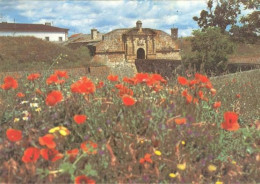 Almeida - Entrada Da Vila - Guarda