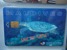 MALDIVES   USED CARDS  TURTLES - Turtles