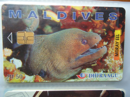 MALDIVES   USED CARDS FISH FISHES MORAY EEL - Poissons