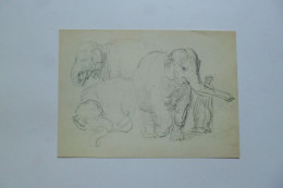 WIEN  -  Museum  -  "  Trois éléphants  "     Par REMBRANDT       - Peintures Et Tableaux - Musées