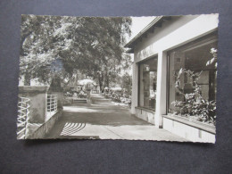 Echtfoto AK 1962 Pavillon Stölpchensee Inh. Alfred Krops Berlin Wannsee, Kohlhasenbrücker Straße Nach Detmold Gesendet - Hotels & Gaststätten