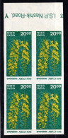 INDIA-AMALTAS FLOWERS- DEFINITIVE SERIES- HIGH FV- MARGINAL IMPERF BLOCK OF 4 WITH INSCRIPTIONS-ERROR - MNH- IE-63 - Varietà & Curiosità