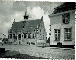 Damme  Gemeentehuis - Damme