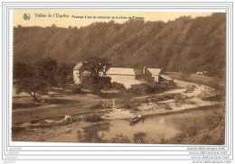 DURBUY ..-- PALOGNE ..-- Passage D'eau Du Restaurant De La Ferme . - Durbuy