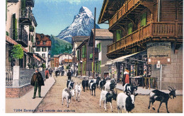 Delcampe - CH-7884  ZERMATT :  La Rentree Des Chevres - Zermatt