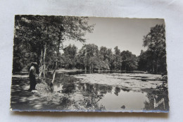 Cpsm, Parc De Loisirs Et De Culture H. Gautier à. Baillet, CGT, L'étang, Val D'Oise 95 - Baillet-en-France