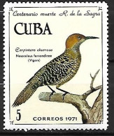 Cuba - MNH ** 1971 : Fernandina's Flicker  -  Colaptes Fernandinae - Pics & Grimpeurs