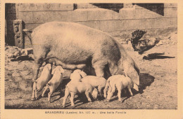 FR-48 LOZÈRE - GRANDRIEU - Une Belle Famille - Gandrieux Saint Amans