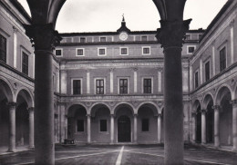 Urbino - Palazzo Ducale - Il Cortile D'Onore - Fg Vg - Urbino