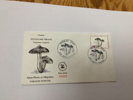 Enveloppe 1er Jour Saint-pierre Et Miquelon Champignons 1989 - Usados