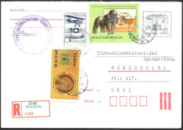 C4256 Hungary Animal Monkey Zoo Telecom Aircraft Money Registered - Gorilles