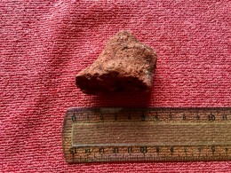 Fragment Ancien Poterie LAPITA - N-C - Archéologie