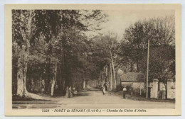Forêt De Sénart, Chemin Du Chêne D'Antin - Sénart