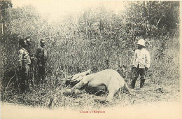 AFRIQUE CONGO FRANCAIS - Chasse à L'Eléphan - Congo Français