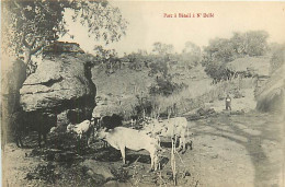 AFRIQUE CONGO FRANCAIS - Parc à Bétail à N' Dellé - Congo Français