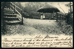 CPA - Carte Postale - Belgique - Spa - Commune Poule - Le Champignon - 1905 (CP22950OK) - Spa