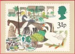 Carte Maximum (FDC) - Royaume-Uni (Écosse-Édimbourg) (5-10-1983) - Foires Britanniques (Foire Et Produits) (Recto-Verso) - Maximumkarten (MC)