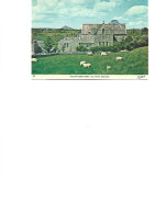 Ireland - Postcard Unused  -  Ballintubber Abbey,,co.Mayo - Mayo