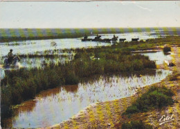 CAMARGUE (13) - Gardians Et Taureaux Dans Les Marais - Estel 11.045Z - Rhône-Alpes