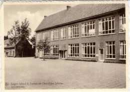 GOOREIND - Lagere School II - Wuustwezel