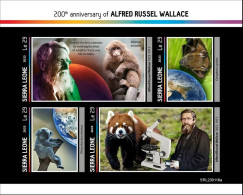 Sierra Leone 2022, R. Wallance, Monkey, Bat, Panda, 4val In BF IMPERFORATED - Monkeys