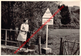 Photo Les Trois Frontières - Ouren - Burg-Reuland