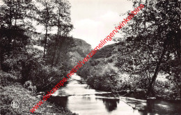 Sortie De L'Ourthe à La Grotte - Barvaux-sur-Ourthe - Durbuy