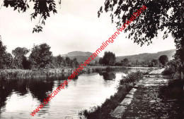 La Batte Et Mont Pelé - Barvaux-sur-Ourthe - Durbuy