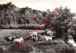 Paysage Chempêtre Près Des Rochers De Glawan - Barvaux-sur-Ourthe - Durbuy