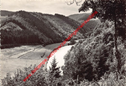 La Vallée De L'Ourthe - Maboge - La-Roche-en-Ardenne