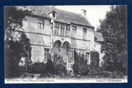 Sottegem ( Zottegem). Vieux Château Du Comte D'Egmont ( Famille D'Egmont De 1530 à 1707). - Zottegem