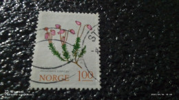 NORVEÇ-1990-2010       1.00KR       USED - Used Stamps