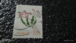 NORVEÇ-1990-2010       1.00KR       USED - Oblitérés