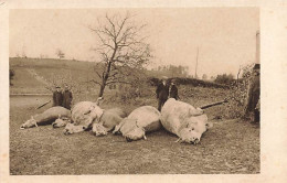 12 Juin 1926 Cyclone De La Chaux-de-Fonds Six Victimes Vaches Tuées Tornade - Andere & Zonder Classificatie