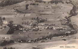 Château-d'Oex 1924 - Sonstige & Ohne Zuordnung