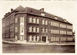 BRUXELLES II (Mutsaert) - Institut "Maria Assumpta" Rue Paul Janson, 57 - Formación, Escuelas Y Universidades