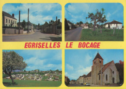 89 .n° 25054. Egriselles Le Bocage . Vue D Ensemble. Cpsm. - Egriselles Le Bocage